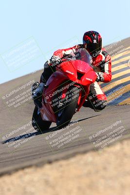 media/Feb-12-2022-SoCal Trackdays (Sat) [[3b21b94a56]]/Turn 12 (140pm)/